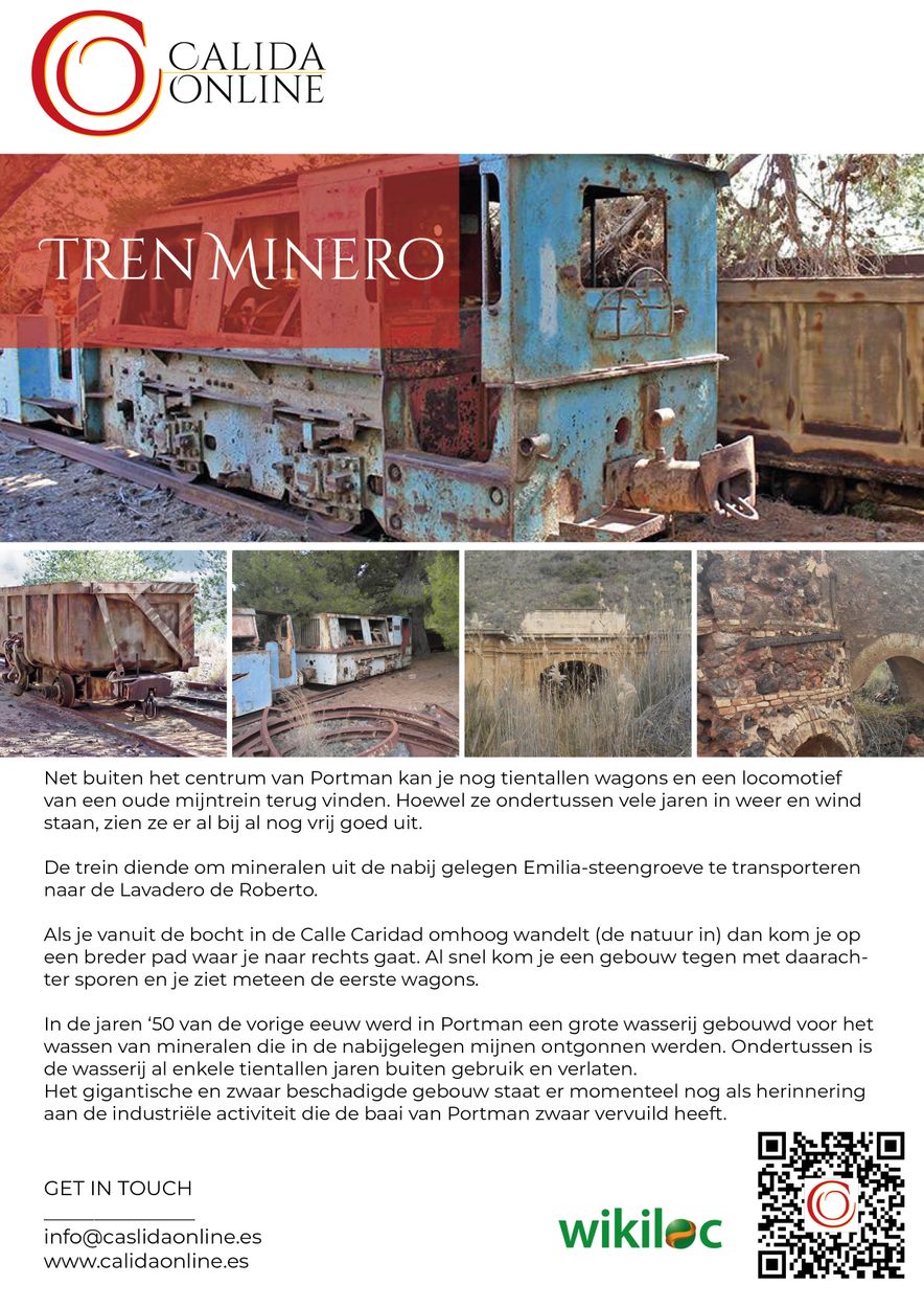 Tren_Minero